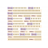 T-Works GSS-MBX8R Gold Plated Steel Screw Set 210pcs. ( For Mugen MBX8R )