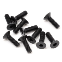 Sworkz 3x10mm Flat Head Screw (10)